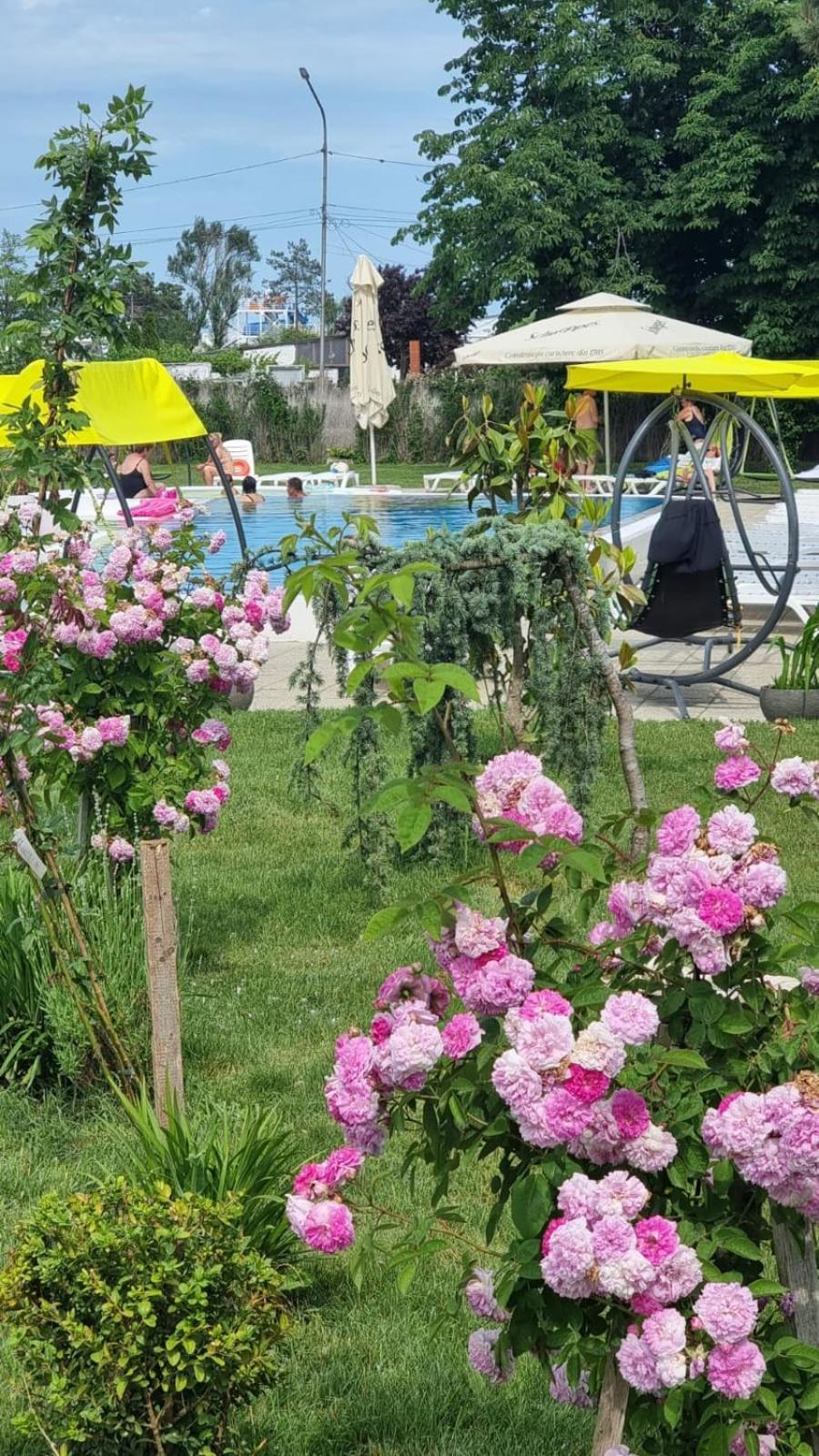 Hotel Iulia Resort Venus Ngoại thất bức ảnh