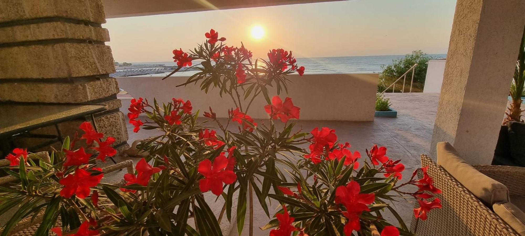 Hotel Iulia Resort Venus Ngoại thất bức ảnh