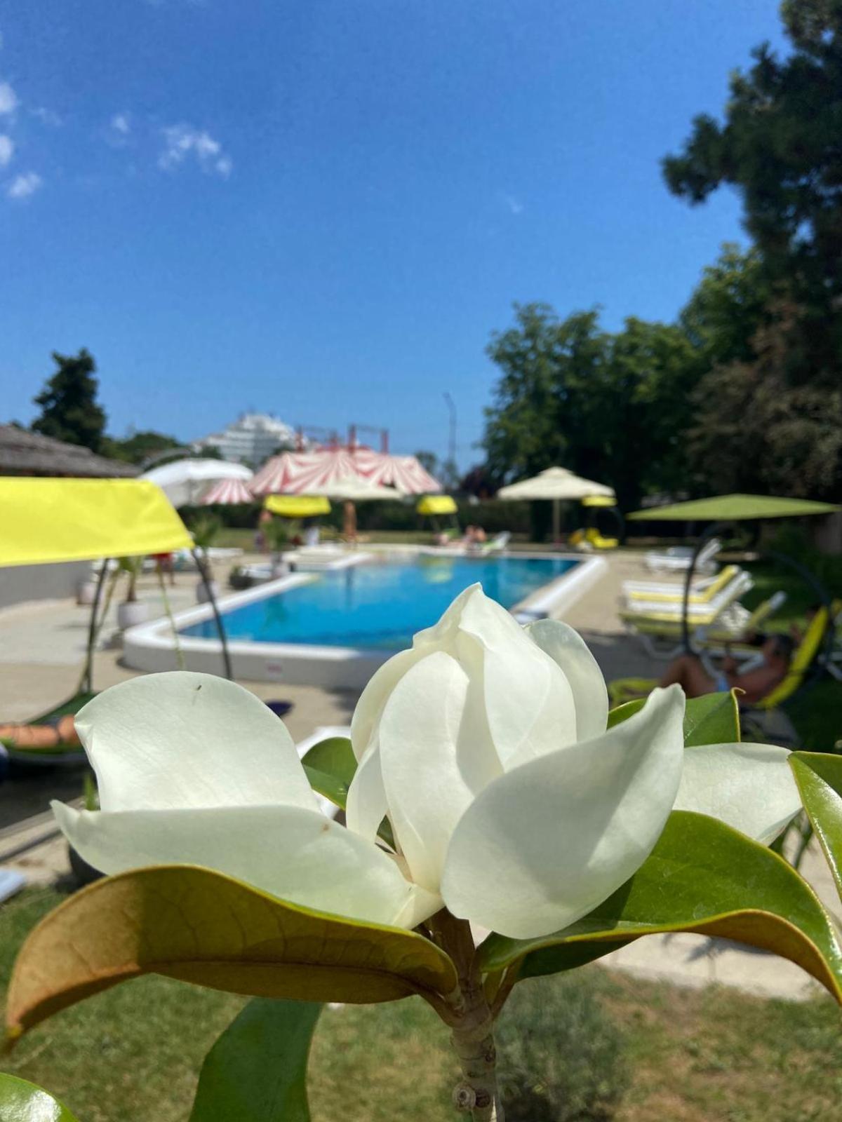 Hotel Iulia Resort Venus Ngoại thất bức ảnh